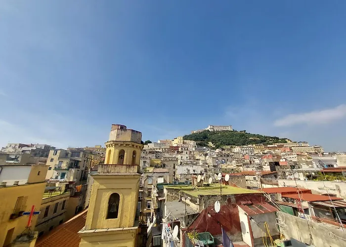 Toledo Panoramic Rooftop With Terrace 4*