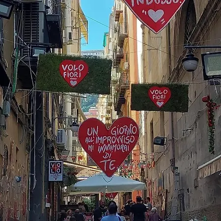 Toledo Panoramic Rooftop With Terrace 住宿加早餐酒店 那不勒斯
