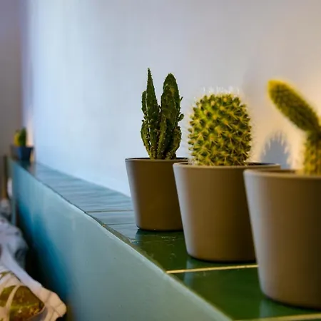 Toledo Panoramic Rooftop With Terrace Napoli